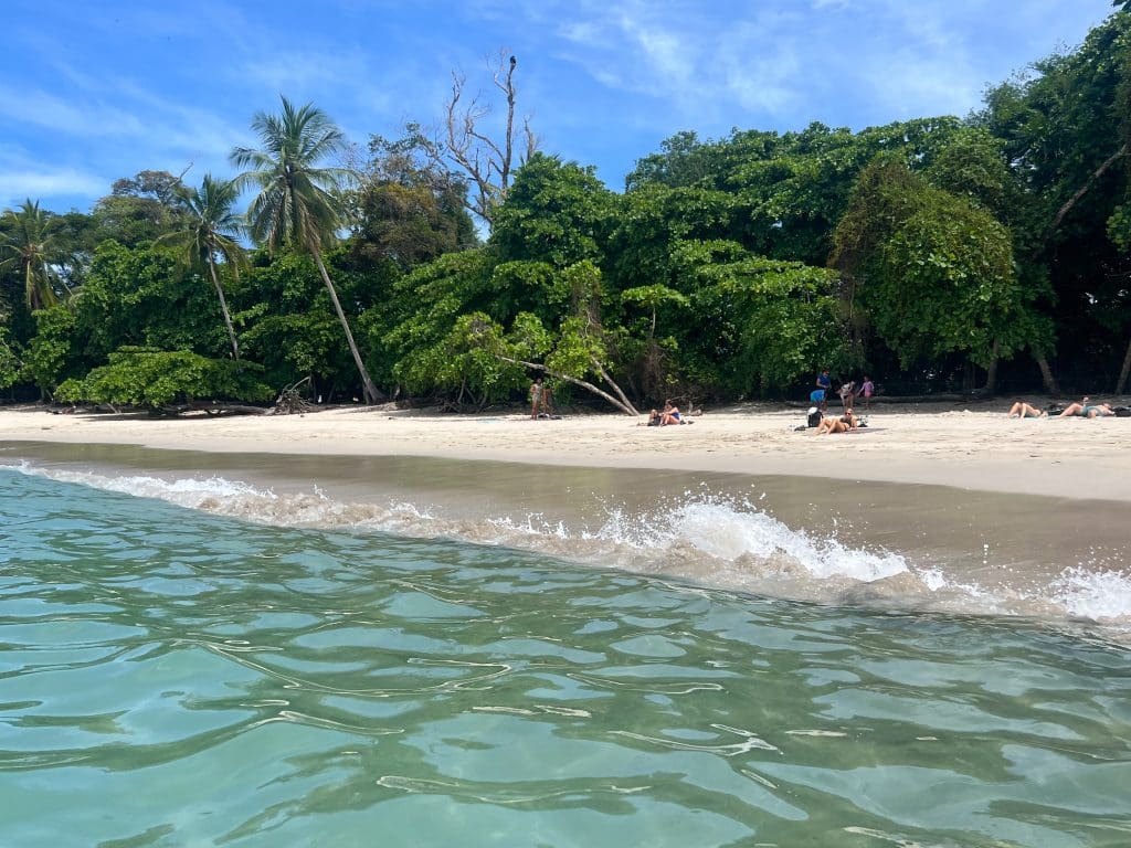 View from the turquoise waters back towards the shoreline and golden sandy beach, backed by green rainforest and a blue sky. The waves are breaking with white surf on the beach