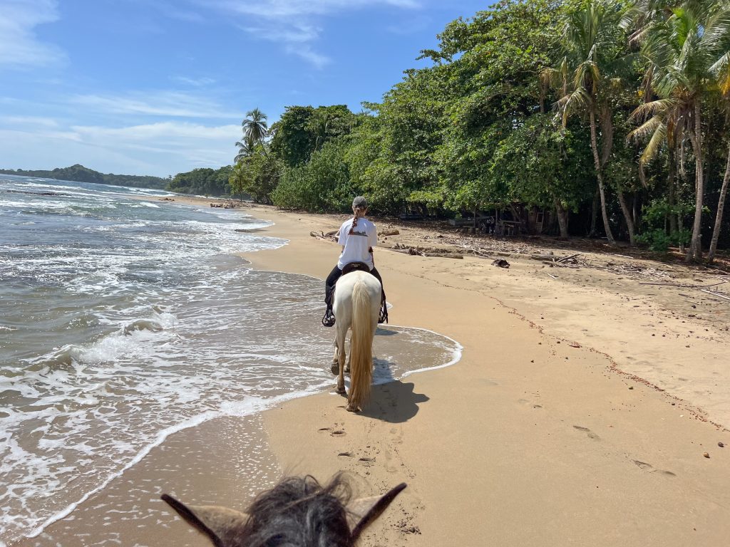 Tropical beach with turquoise surf on the left, golden sand in middle and green rainforest to the right. Photo taken by rider of a horse over the horses ears which you can see in the bottom of the photo. A second rider is ahead on the beach on a white horse
