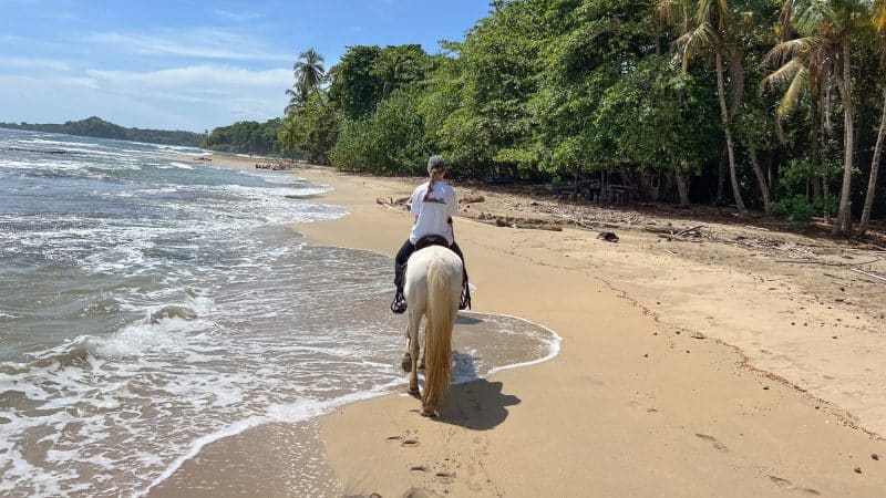 Tropical beach with turquoise surf on the left, golden sand in middle and green rainforest to the right. Photo taken by rider of a horse over the horses ears which you can see in the bottom of the photo. A second rider is ahead on the beach on a white horse