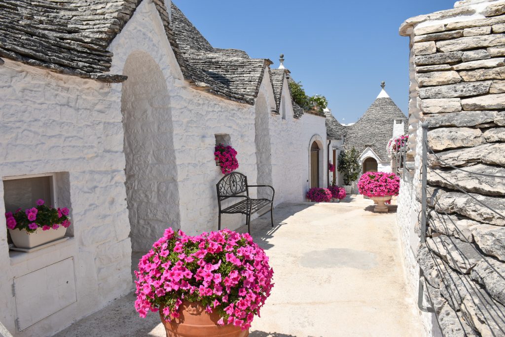 Small courtyard of stone white-washed houses with grey conical roofs. Pots of pink flowers at front and back of courtyard, Alberobello