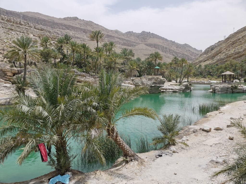 Palm trees around a turquoise lake surrounded by rocky terrain in the desert