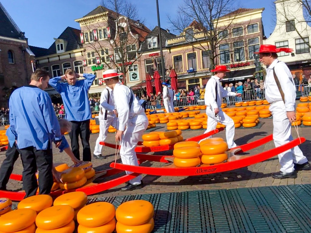 Men in white trousers and tops wearing straw boaters with red ribbons carrying carts of orange rounds of cheese. Officials in blue shirts watching over the cheese carriers