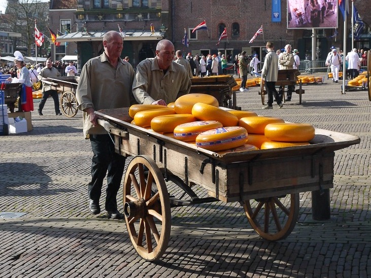Two men in pale brown shirts push a wooden cart full of bright orange cheese rounds. It appears to be a market square with other piles of cheese and people in the background. Some flags and a lady in a traditional costume, maybe Dutch