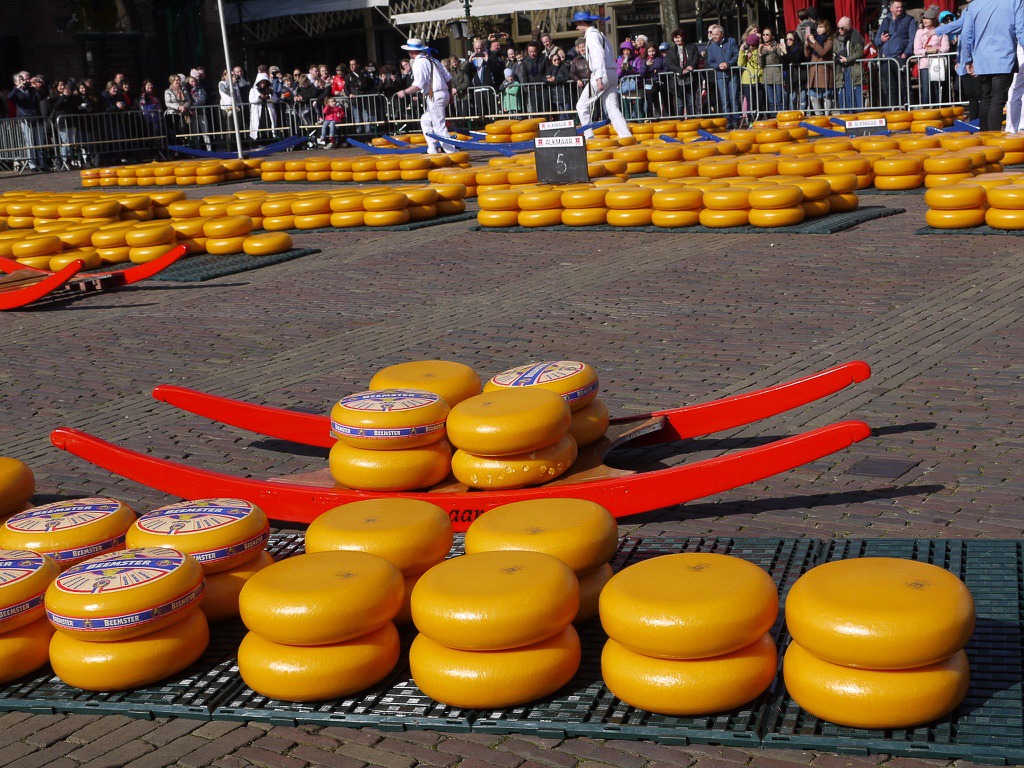 Piles of 2 large orange cheeses sit across the bottom of the frame. Behind is a red wooden cart with 8 cheeses on it. At the top of the frame, are piles of orange cheeses around the edge of a market square