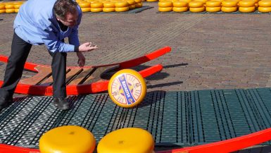 Man wearing pale blue top is rolling a large orange round of cheese along the ground. There are other orange rounds of cheese in the foreground, and stacked in the background