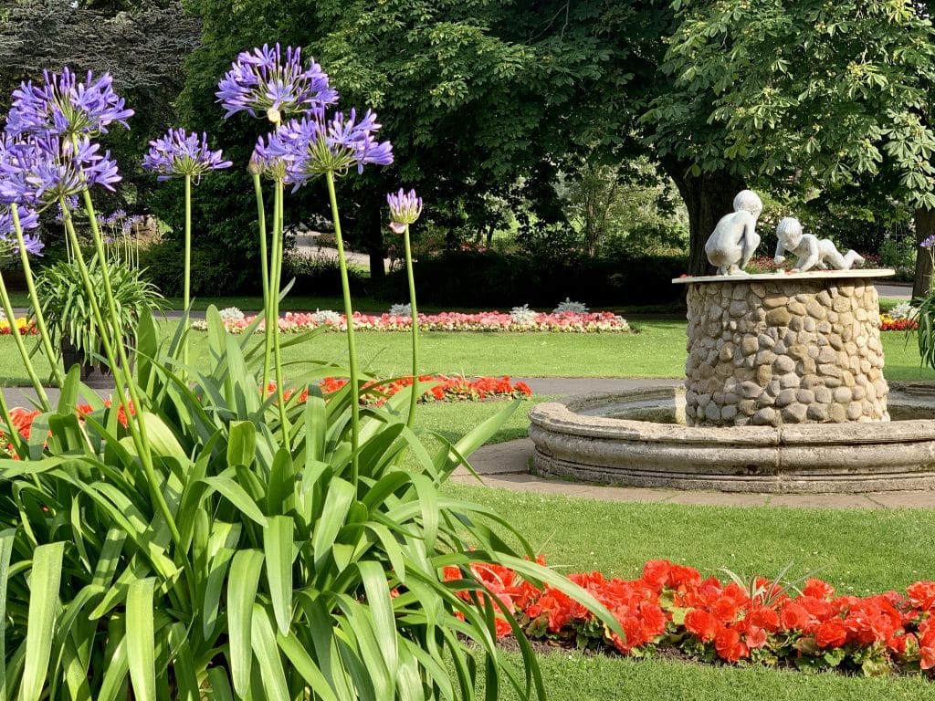 Photo of a formal garden with tall purple plant stone the left and a circular plinth to the right with two cherub statues on top. Trees in background