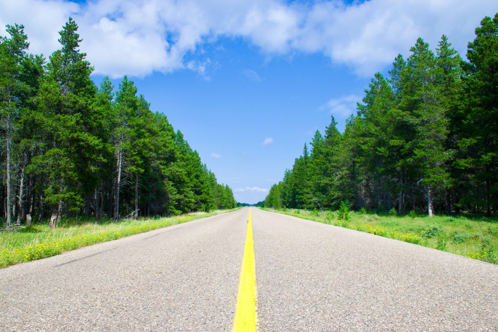 Phot taken at the centre of a road with a single yellow line up the middle of the photo towards the horizon and blue sky with some white clouds. Green fir trees line both sides of the road