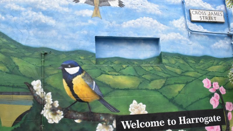 Mural on side of building of fields with a Welcome to Harrogate sign bottom left. Blue sky with painting of a Red Kite bird. Bluebird in foreground