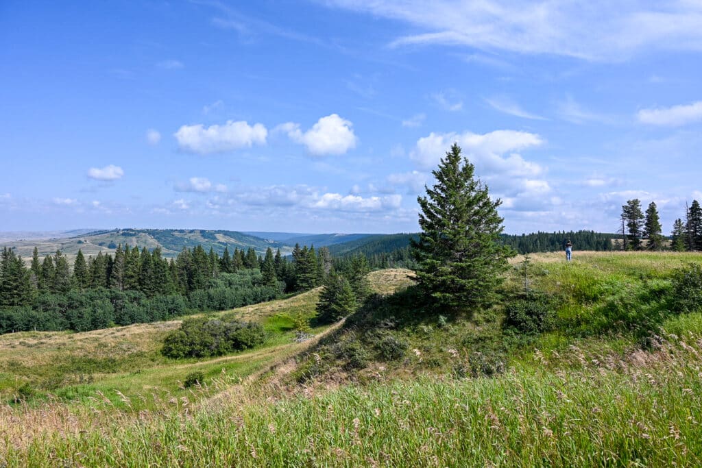 Cypress Hills Interprovincial Park