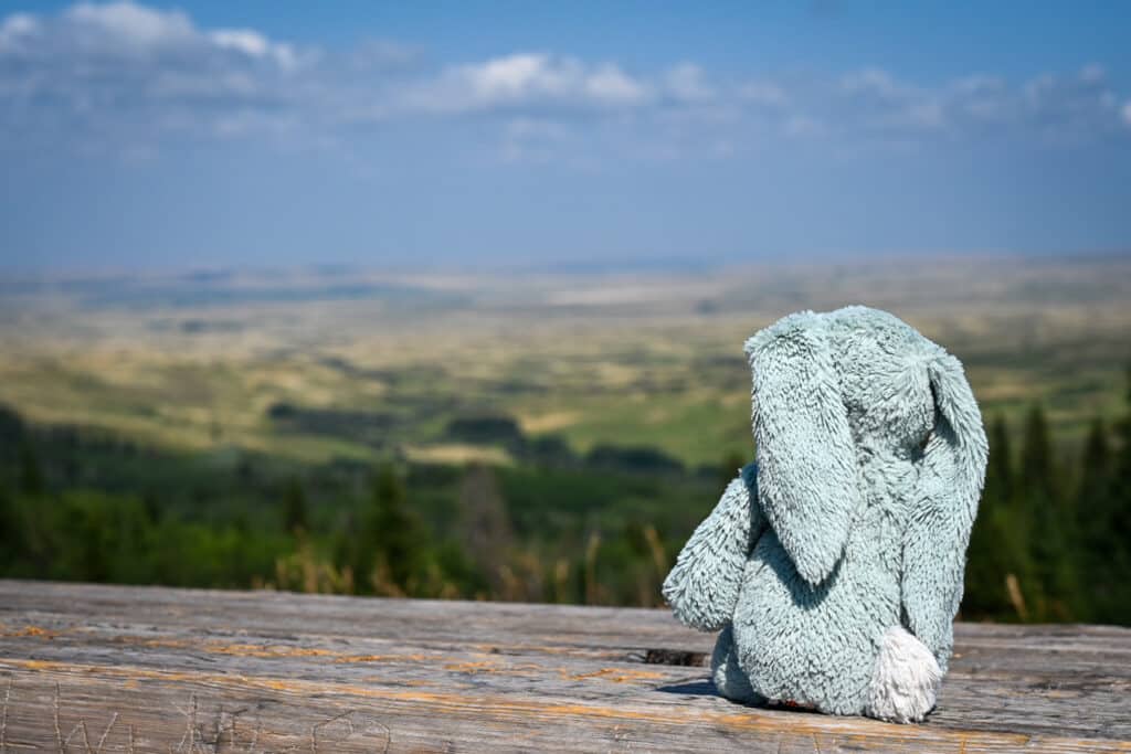 Bunny overlooking Cypress Hills Interprovincial Park viewpoint