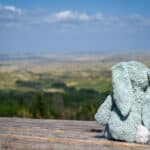 Bunny overlooking Cypress Hills Interprovincial Park viewpoint