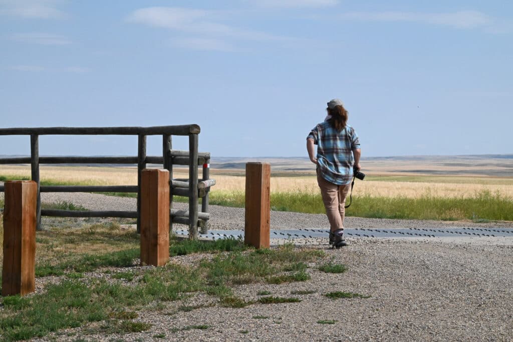 Action shot of Lucy walking to take photos of the Saskatchewan countryside