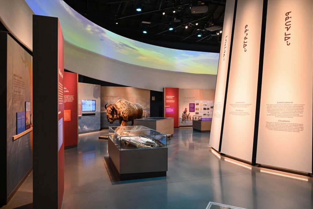 Interior exhibit hall at Wanuskewin Heritage Park showing a life-sized bison taxidermy mount, glass display cases with artifacts, interpretive panels in Cree syllabics and English, and a curved ceiling projection of sky and clouds.