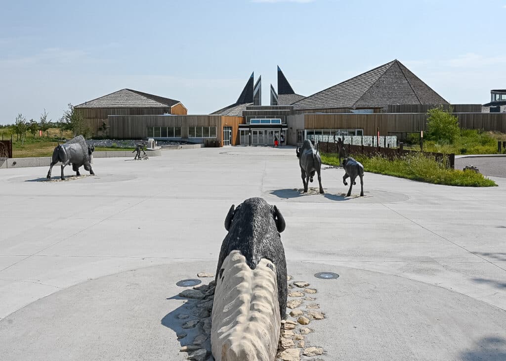 Entrance plaza of Wanuskewin Heritage Park with bronze bison sculptures in dynamic poses leading toward the modern wooden-clad visitor centre buildings under a clear blue sky.