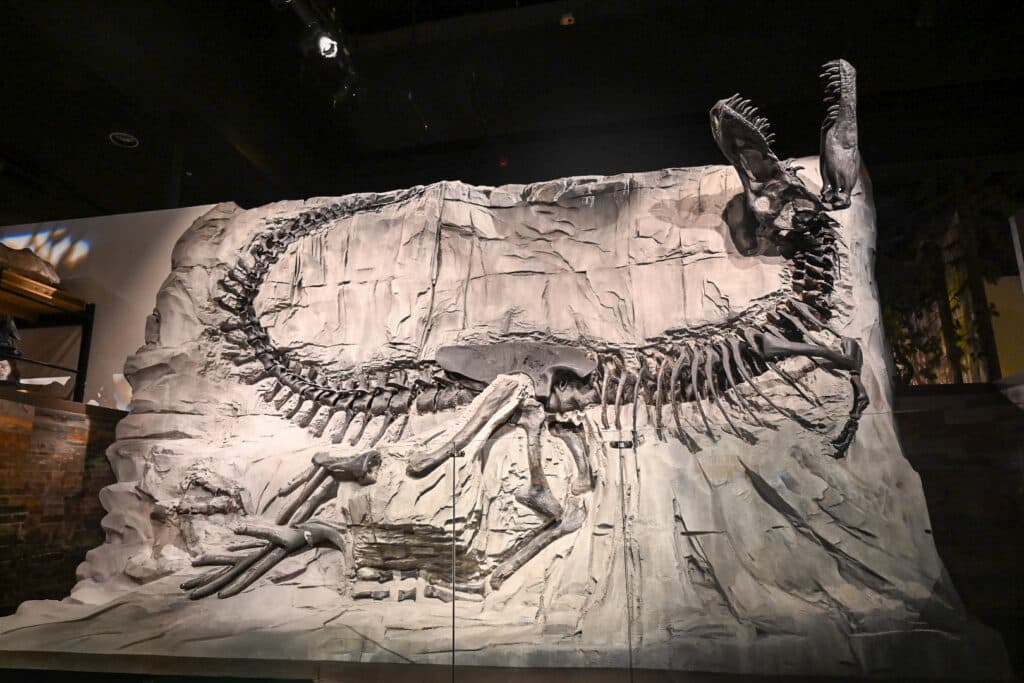 Impressive dinosaur skeleton (hadrosaur) mounted in a dynamic pose against a textured rock-face backdrop inside the Royal Tyrrell Museum, dramatically lit in a darkened gallery.