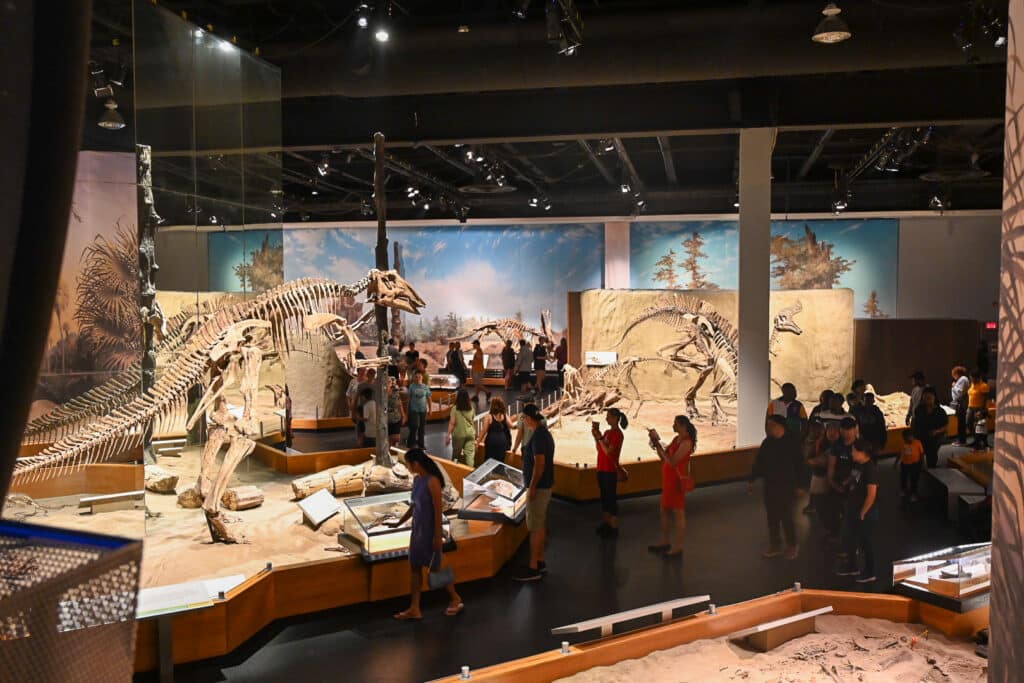 Spacious main gallery of the Royal Tyrrell Museum filled with multiple large dinosaur skeletons, including long-necked sauropods and other species, set against painted prehistoric landscapes; numerous visitors of all ages explore the exhibits under bright overhead lighting.