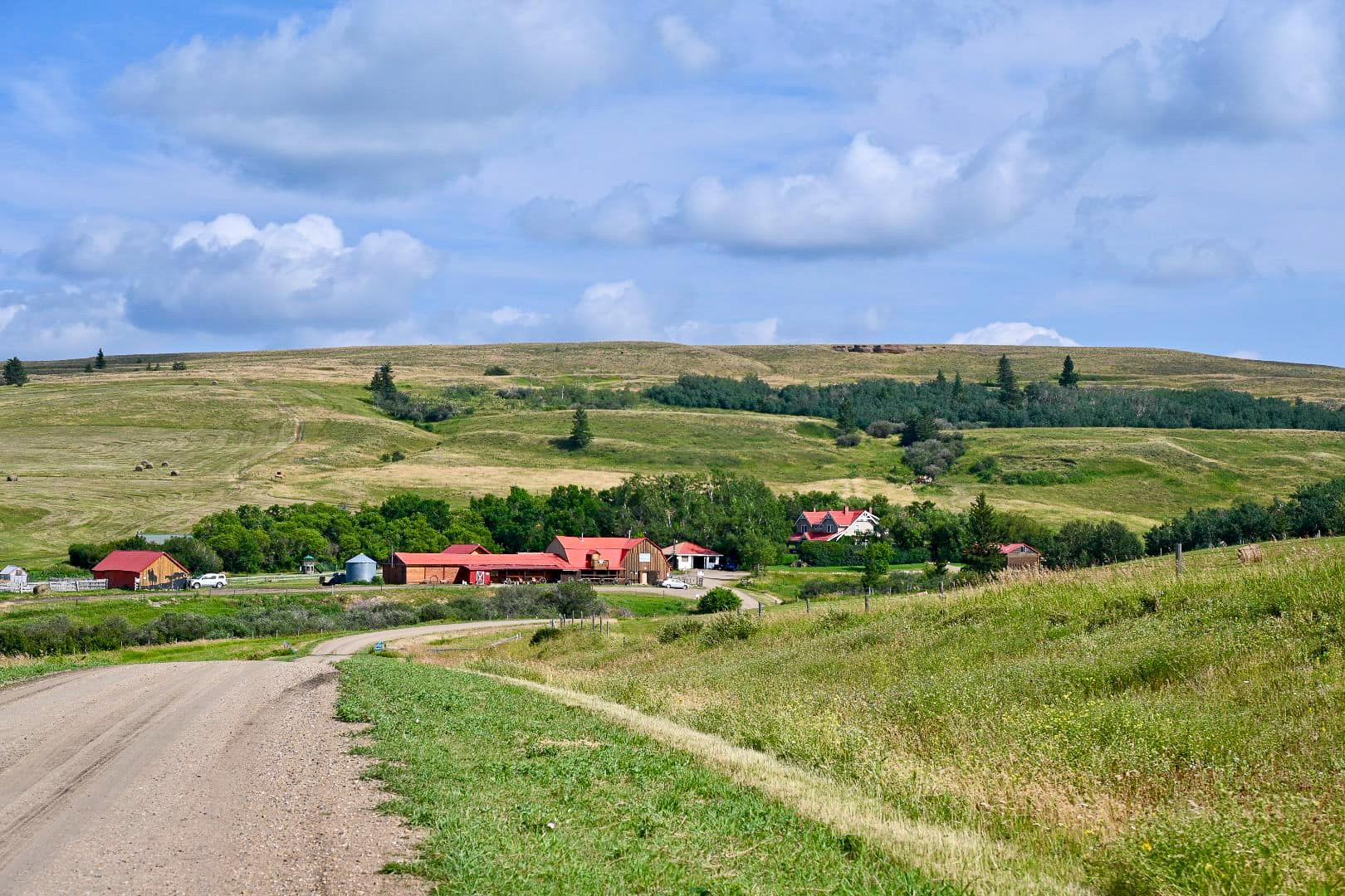 A curved road leading through fields from both left to the middle right where there is a collection of red roofed buildings in the trees. Blue sky