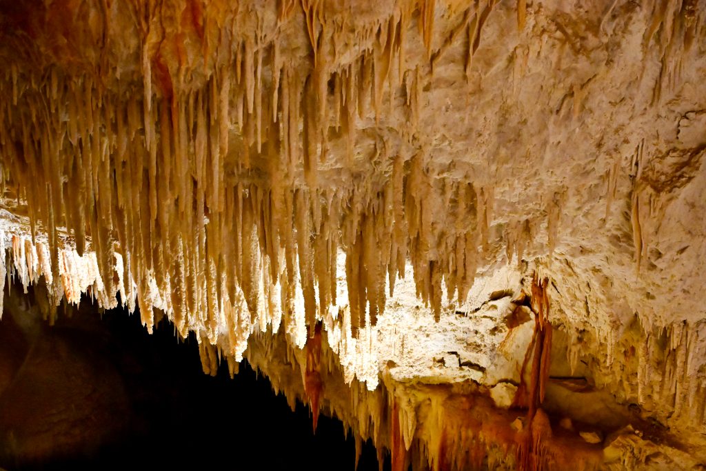 Row of stalactites hanging from the ceiling of a cave