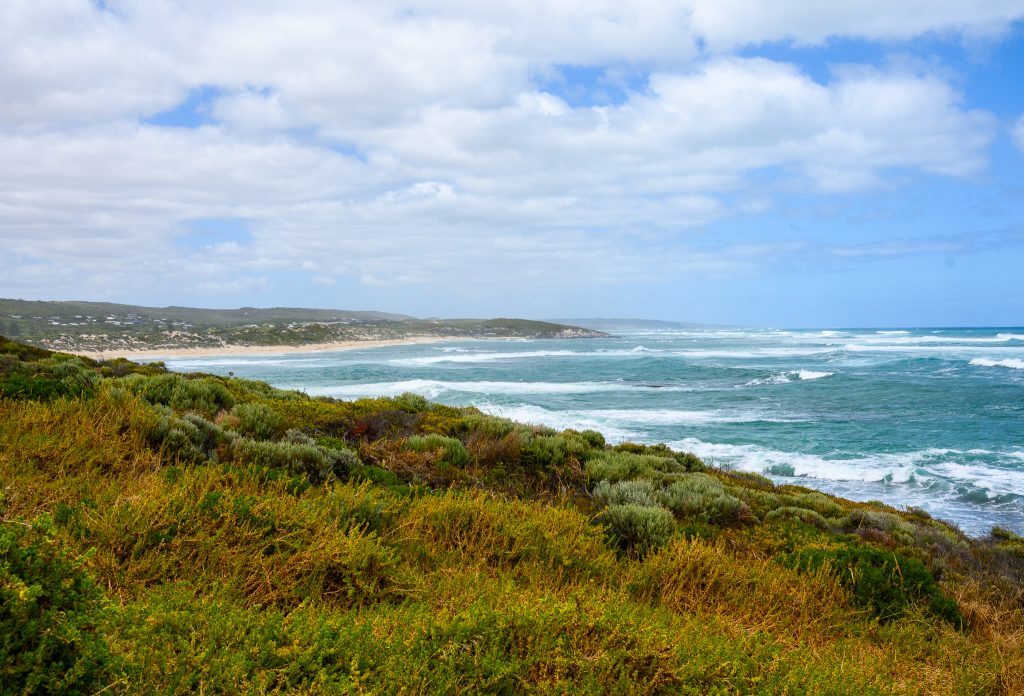 View across scrubland to turquoise ocean waves on the right hand side at the horizon. Cloudy blue sky above