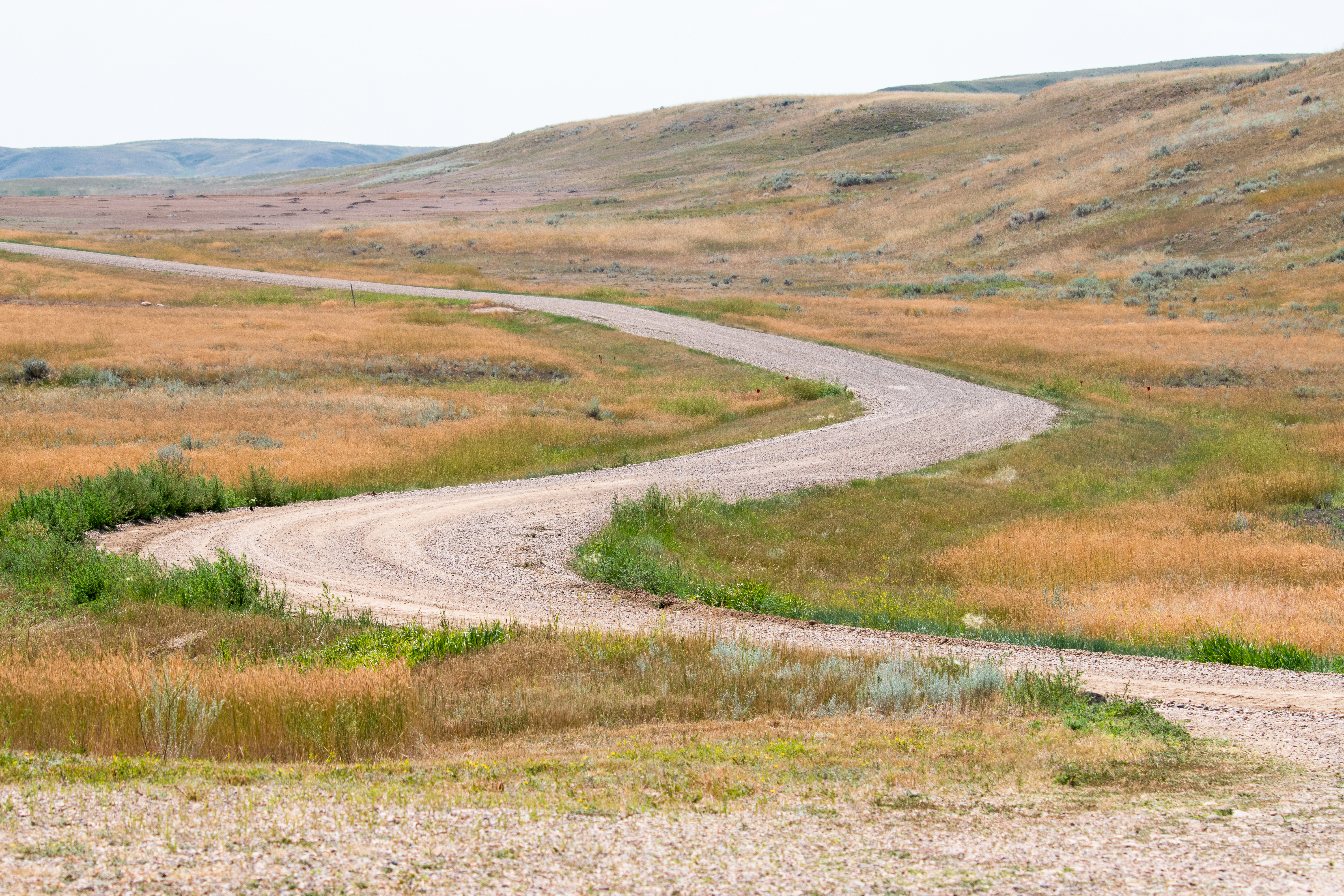 Winding road from front of photo towards the back of photo. Weaving through grasslands. Grey sky