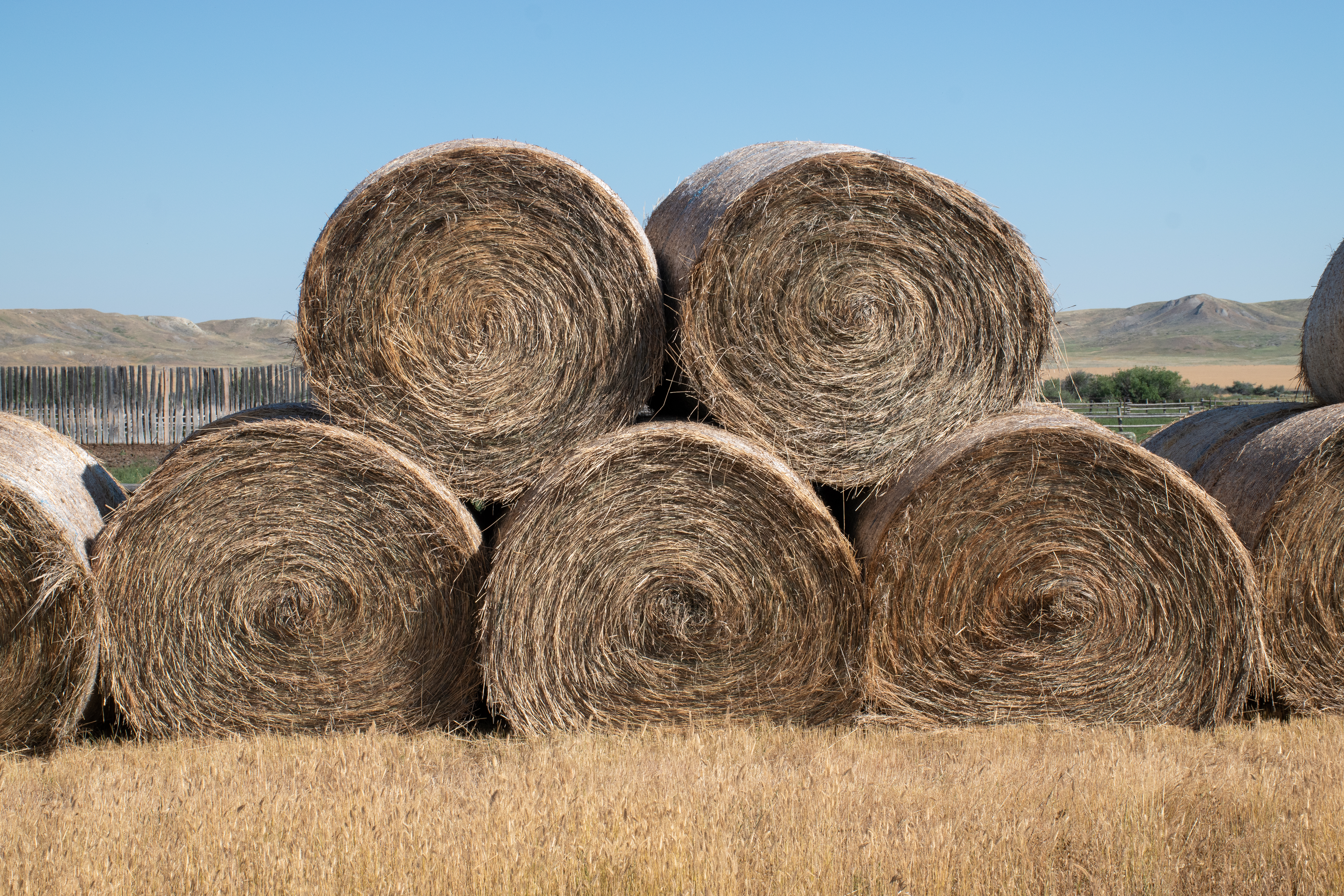 Bales of hay rolled and piled on top of each other - 3 on the bottom and 2 on top.  Grass in front and pale blue sky on top