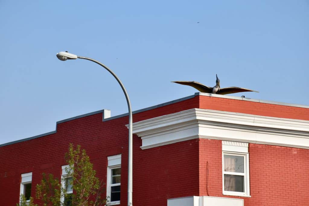 Red brick building with white trim on windows and edges of building. Pale blue sky. Model of a pterodactyl dinosaur on roof