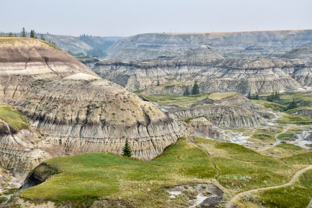 Lanscape photo. Top quarter is a pale blue sky. Bottom quarter is velvety green covered rocks. Middle section is a valley filled with large flat topped, stripped rock formations like something from a prehistoric world - Horseshoe Canyon, Drumheller