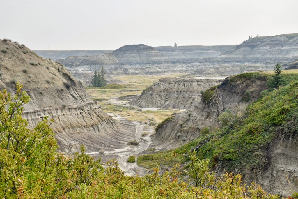 View of route through a rocky valley with bumps of rock and a little greenery