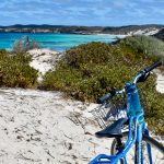 White sand in foreground, green shrubs on the cliff overlooking pretty turquoise water in a curved bay with green headland and blue kay beyond. A blue bicycle with a wire basket on the front is parked in the bottom right hand side of the frame Rottnest Island bike hire