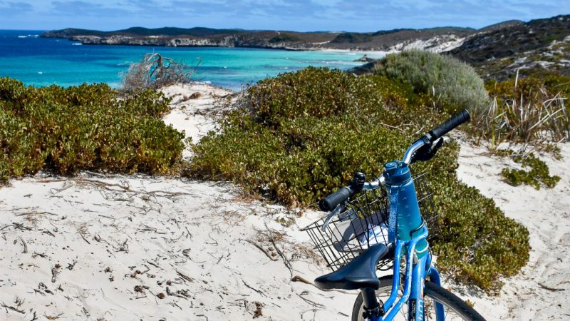 White sand in foreground, green shrubs on the cliff overlooking pretty turquoise water in a curved bay with green headland and blue kay beyond. A blue bicycle with a wire basket on the front is parked in the bottom right hand side of the frame Rottnest Island bike hire