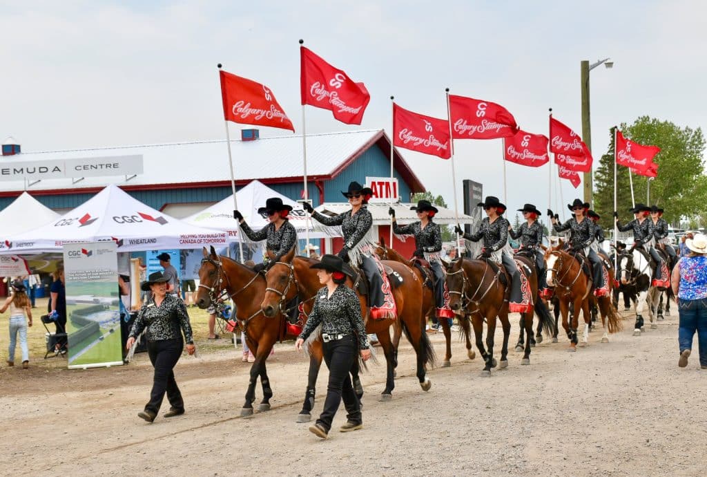 Double row of lady horseback riders in cowboy hats entering an arena with red flags