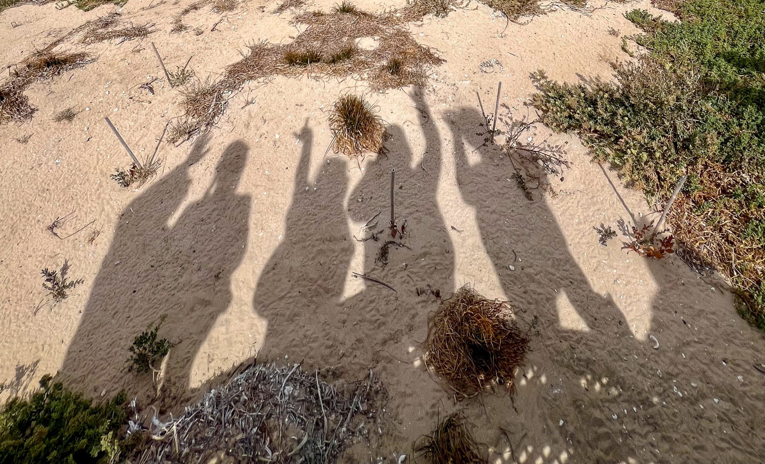 Beach from above with shadow of 5 people waving in the sand