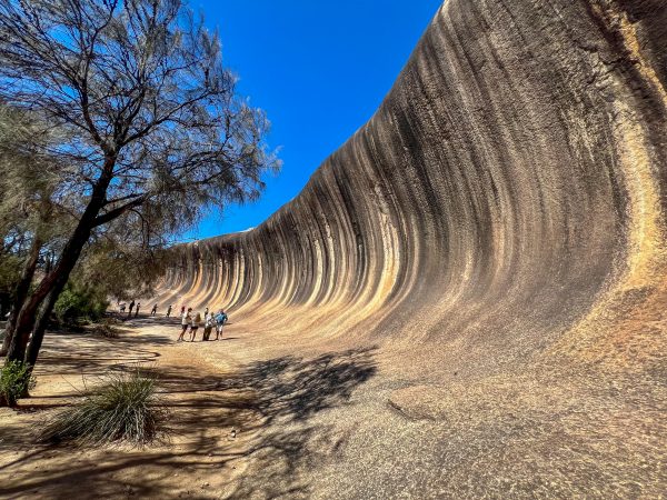 Stripey rock formation which extends from the right of the photo to the distance in the left. The rock is curved over at the top, wave shaped. Clear blue sky at top of photo and tree on the left.