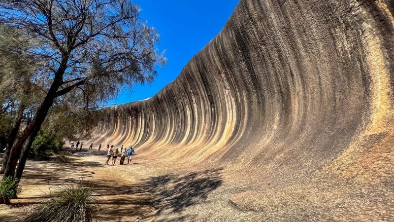 Stripey rock formation which extends from the right of the photo to the distance in the left. The rock is curved over at the top, wave shaped. Clear blue sky at top of photo and tree on the left.