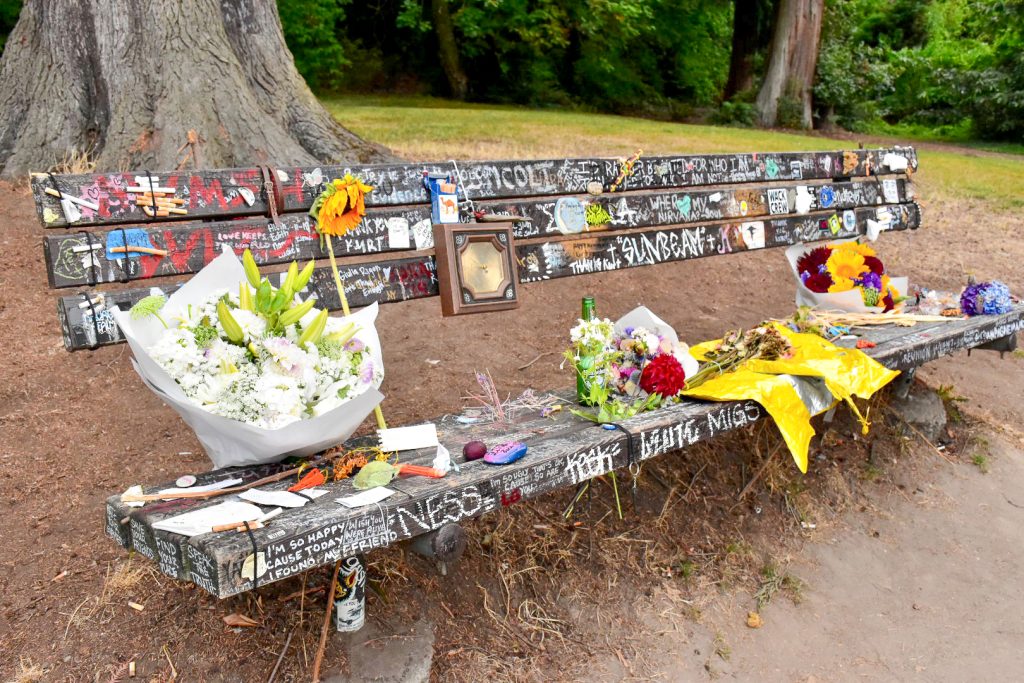 Photo of the bench covered in painted messages and cigarettes and flowers. Signs of trees behind