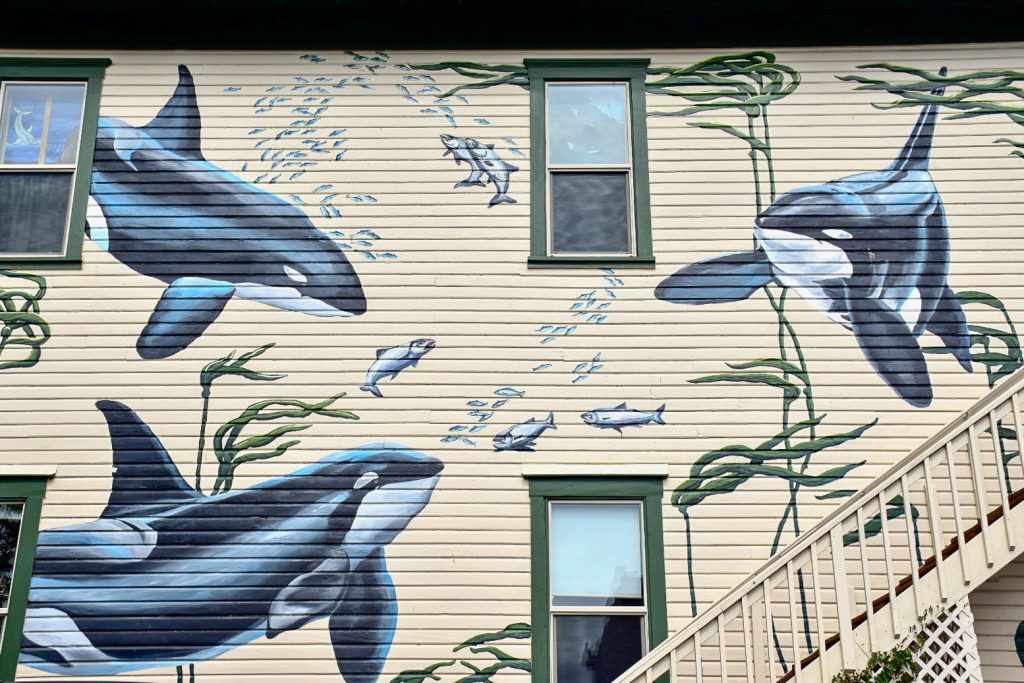 Cream wooden clapboard building holding three windows with green frames, an exterior staircase in the bottom right hand side. The building features a mural of three beautiful orca whales, some sea grasses and fish