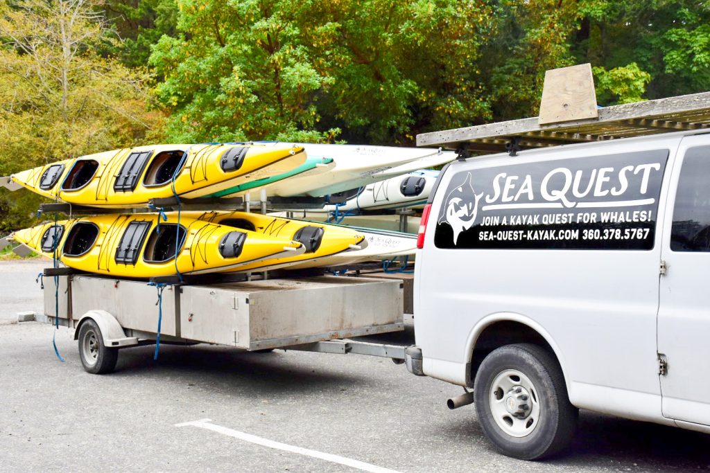 White transit van to the middle and right of the photo pulling a trailer of yellow and white double kayaks. Trees in the background. The transit van says 'Sea Quest - Join a Kayak Quest for Whales' with a phone number