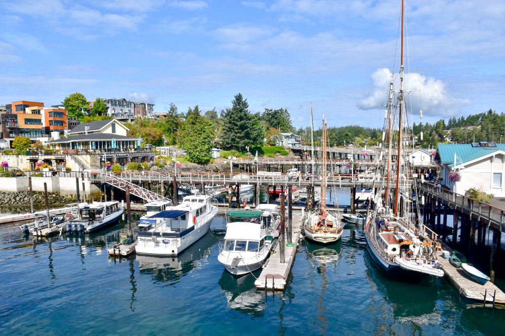 An array of different kinds of boats in a small harbour with evergreen trees on the horizon and pale blue sky behind. There are some white tourist whale watching style boats to the left and two sailing boats to the right