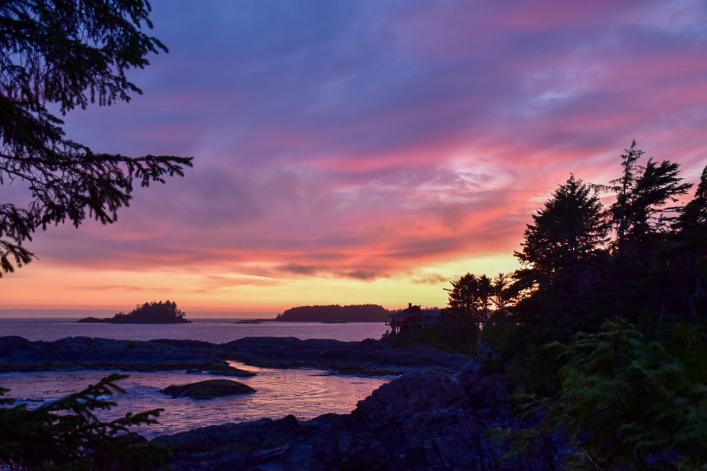 Multicoloured sunset with silhouetted rocks and trees in the foreground, purple and pink sky about a strip of yellow and orange setting sun on the horizon