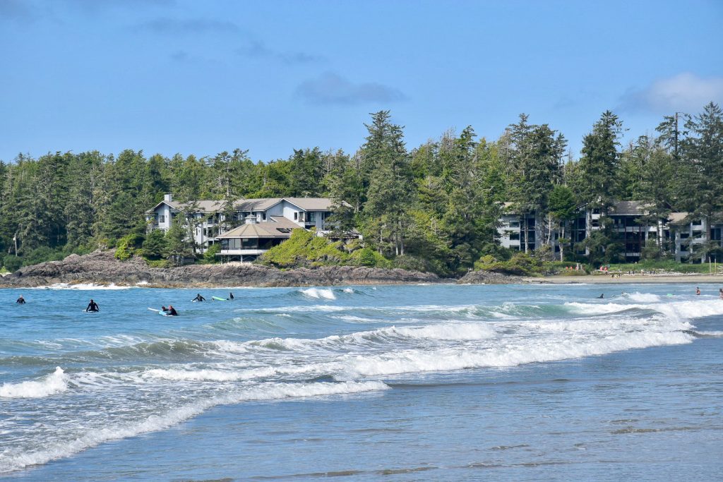 Bottom half of photo shows waves rolling towards a beach with some white peaks. There are a number of surfers in wetsuits hanging about waiting to catch waves. On the horizon is a row of evergreen trees hiding some white hotel like buildings. Pale blue sky showing above the trees