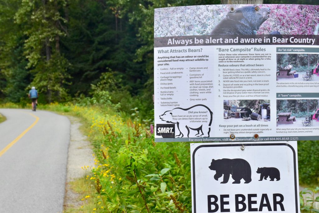 right hand side features two signs by the side of the road about being alert and bear aware in bear Country. to the left a cyclist is cycling into the distance where there are trees
