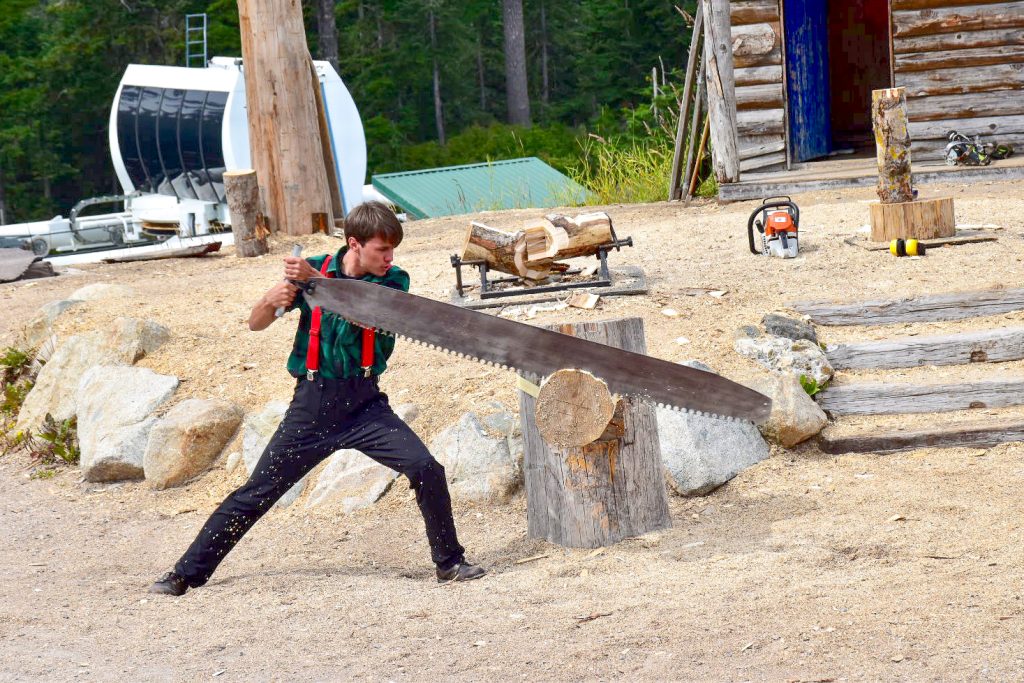 Lumberjack (black trousers, green plaid shirt, red braces) sawing wood with an enormous metal sauce. Wood and wood savings all over the ground. Wooden hut in top right corner