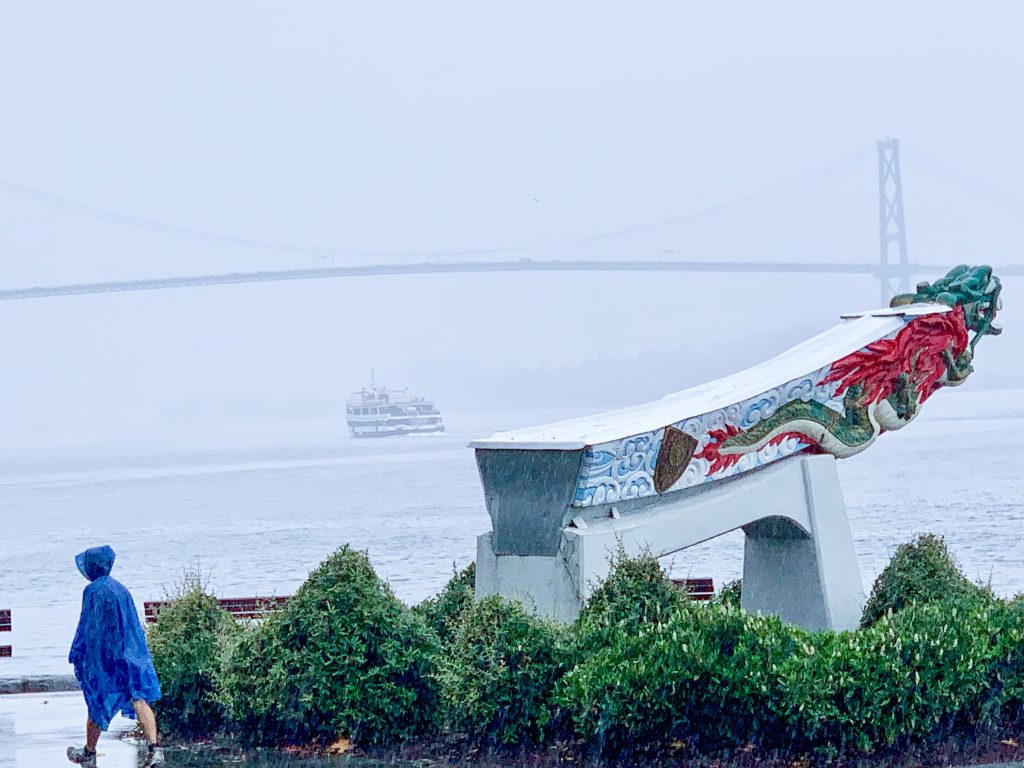 Very pale grey sky background - almost bleaching out a suspension bridge and boat going under the bridge on water. Foreground there is a row of green shrubs, a man in a blue rain poncho (hood up) walking out of the photo on bottom left hand corner, and to the right of photo part of a Chinese dragon boat featuring a green dragon head looking out over the water, red detailing on the sides