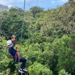 A frame filled with dense green trees. The view is across the tops of the trees and there is a zip wire running from the bottom left to the top left of the photo. A girls in navy blue, white helmet, gloves is moving down the zip wire