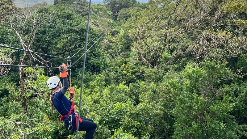 A frame filled with dense green trees. The view is across the tops of the trees and there is a zip wire running from the bottom left to the top left of the photo. A girls in navy blue, white helmet, gloves is moving down the zip wire