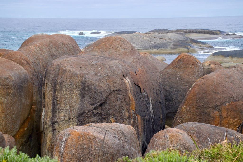 A row of bronze coloured weathered rocks in the foreground. They almost look like a row of large elephants facing the camera. Grey ocean in the distance