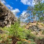 Upwards photo to a blue sky with white puffs of cloud. In the foreground you can see greenery, and also the edges of a cliff or rock face. Wooden stairway on the rocks to the right. Green trees to the right