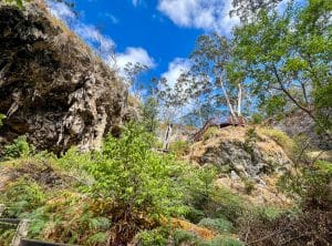 Upwards photo to a blue sky with white puffs of cloud. In the foreground you can see greenery, and also the edges of a cliff or rock face. Wooden stairway on the rocks to the right. Green trees to the right