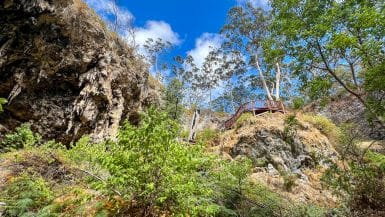 Upwards photo to a blue sky with white puffs of cloud. In the foreground you can see greenery, and also the edges of a cliff or rock face. Wooden stairway on the rocks to the right. Green trees to the right