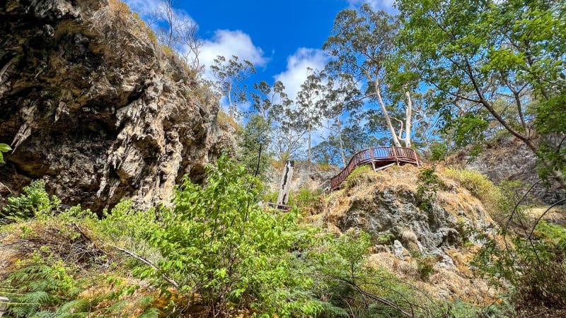 Upwards photo to a blue sky with white puffs of cloud. In the foreground you can see greenery, and also the edges of a cliff or rock face. Wooden stairway on the rocks to the right. Green trees to the right